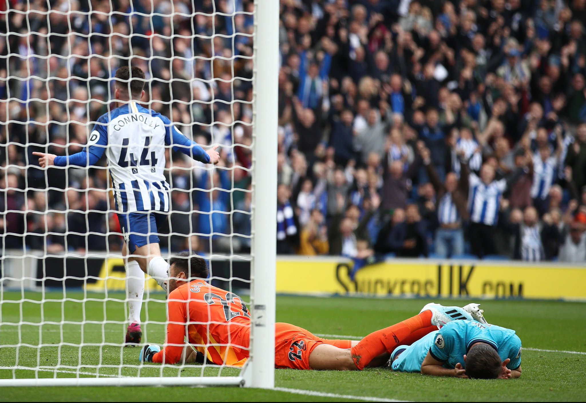 王博豪需要 王博豪需要